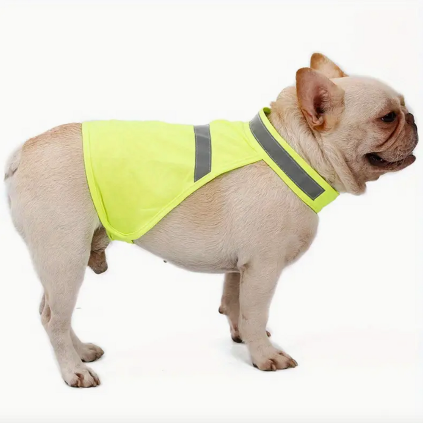 Reflective Vest