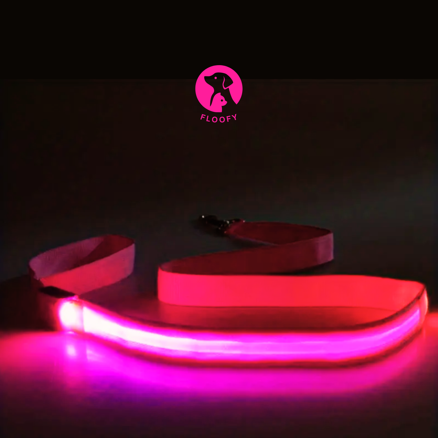 Rechargeable LED Leash